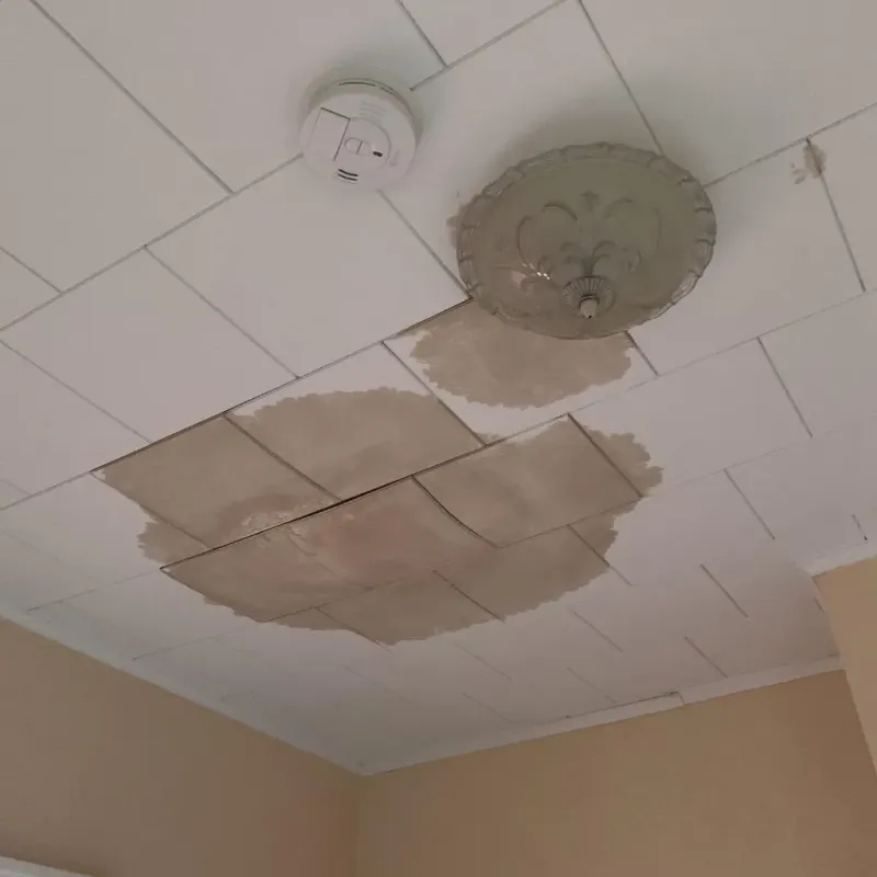 Ceiling Water Damage Repair in Random Lake, WI