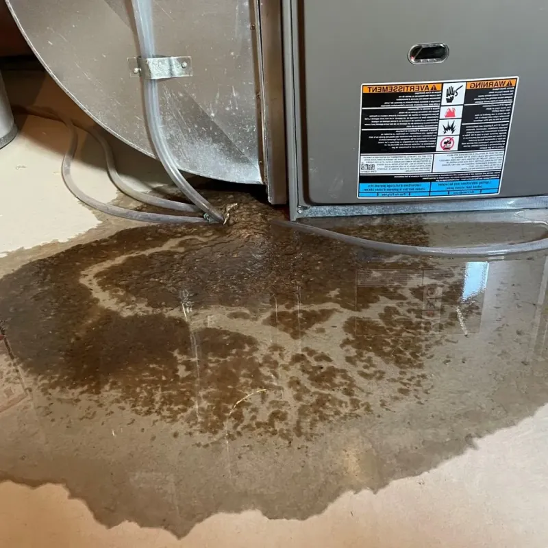 Pipe Burst and Leak Restoration in Random Lake, WI
